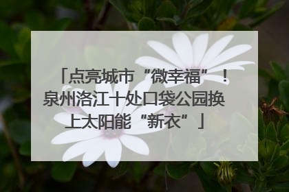点亮城市“微幸福”！泉州洛江十处口袋公园换上太阳能“新衣”