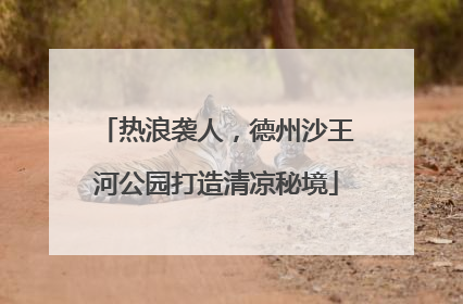 热浪袭人，德州沙王河公园打造清凉秘境