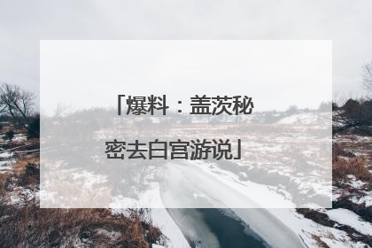 爆料：盖茨秘密去白宫游说