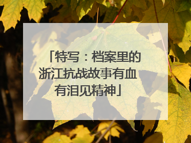 特写：档案里的浙江抗战故事有血有泪见精神
