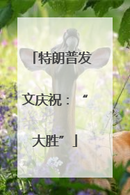 特朗普发文庆祝：“大胜”