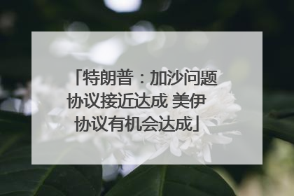 特朗普：加沙问题协议接近达成 美伊协议有机会达成
