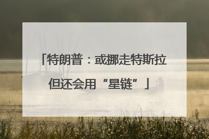特朗普：或挪走特斯拉 但还会用“星链”
