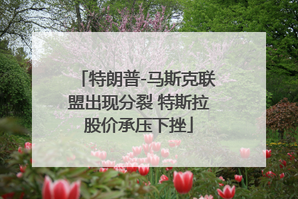 特朗普-马斯克联盟出现分裂 特斯拉股价承压下挫
