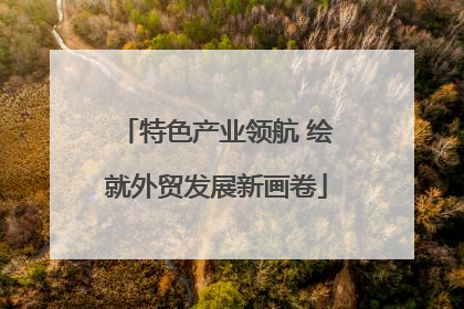 特色产业领航 绘就外贸发展新画卷