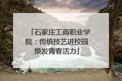 石家庄工商职业学院：传统技艺进校园焕发青春活力