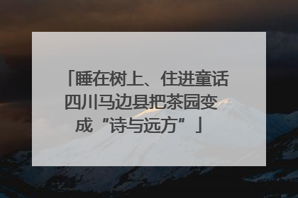 睡在树上、住进童话 四川马边县把茶园变成“诗与远方”