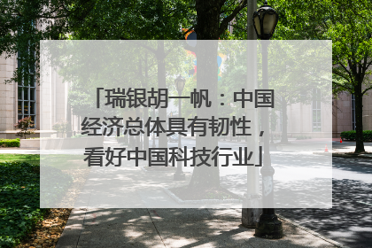 瑞银胡一帆：中国经济总体具有韧性，看好中国科技行业
