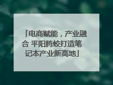 电商赋能，产业融合 平阳腾蛟打造笔记本产业新高地