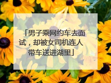 男子乘网约车去面试，却被女司机连人带车送进湖里