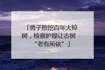 男子擅挖百年大樟树，检察护绿让古树“老有所依”