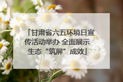 甘肃省六五环境日宣传活动举办 全面展示生态“筑屏”成效