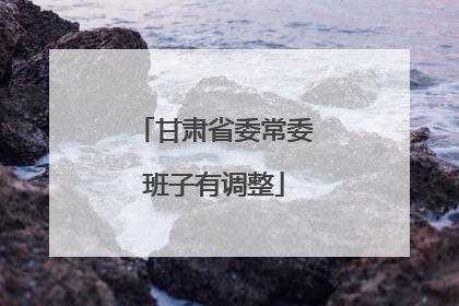 甘肃省委常委班子有调整