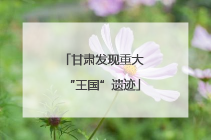 甘肃发现重大“王国”遗迹
