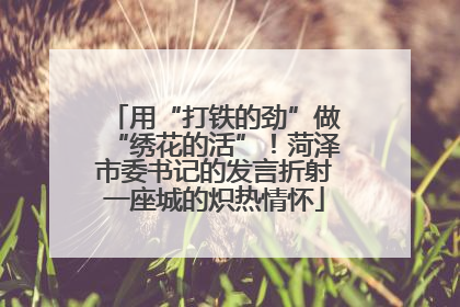 用“打铁的劲”做“绣花的活”！菏泽市委书记的发言折射一座城的炽热情怀