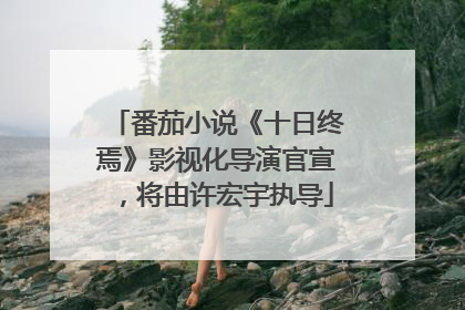 番茄小说《十日终焉》影视化导演官宣，将由许宏宇执导