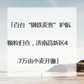 百台“钢铁麦客”护航颗粒归仓，济南高新区4.7万亩小麦开镰