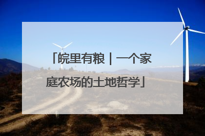 皖里有粮｜一个家庭农场的土地哲学