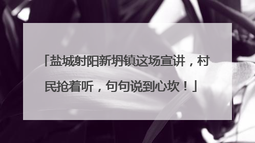 盐城射阳新坍镇这场宣讲，村民抢着听，句句说到心坎！