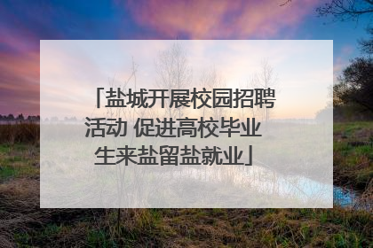 盐城开展校园招聘活动 促进高校毕业生来盐留盐就业