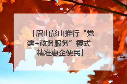 眉山彭山推行“党建+政务服务”模式 精准惠企便民