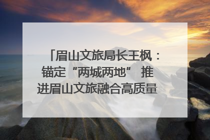 眉山文旅局长王枫：锚定“两城两地” 推进眉山文旅融合高质量发展｜文旅局长说