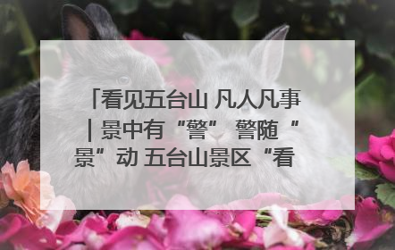 看见五台山 凡人凡事｜景中有“警” 警随“景”动 五台山景区“看得见”的平安守护