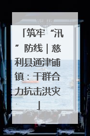 筑牢“汛”防线｜慈利县通津铺镇：干群合力抗击洪灾