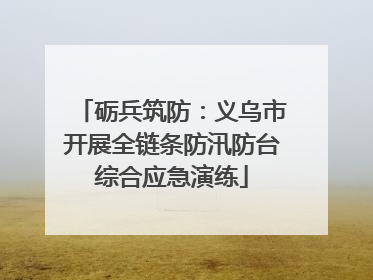 砺兵筑防：义乌市开展全链条防汛防台综合应急演练