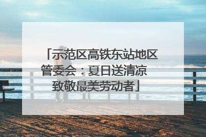 示范区高铁东站地区管委会：夏日送清凉 致敬最美劳动者