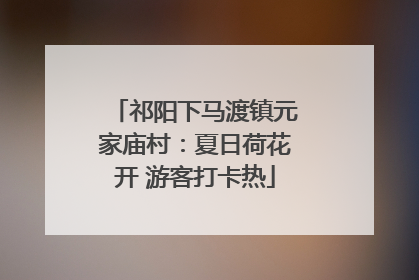 祁阳下马渡镇元家庙村：夏日荷花开 游客打卡热