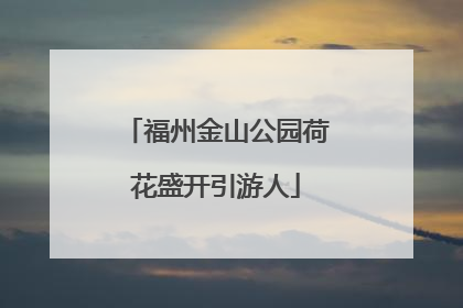 福州金山公园荷花盛开引游人