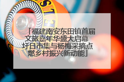 福建南安东田镇首届文旅嘉年华盛大启幕 圩日市集与杨梅采摘点燃乡村振兴新动能