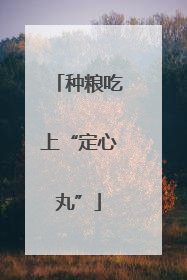 种粮吃上“定心丸”