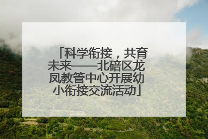 科学衔接，共育未来——北碚区龙凤教管中心开展幼小衔接交流活动