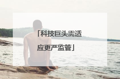 科技巨头需适应更严监管