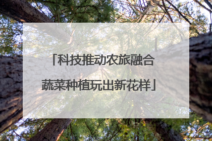 科技推动农旅融合 蔬菜种植玩出新花样