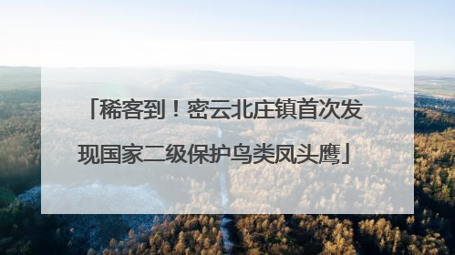 稀客到！密云北庄镇首次发现国家二级保护鸟类凤头鹰