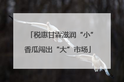 税惠甘霖滋润“小”香瓜闯出“大”市场