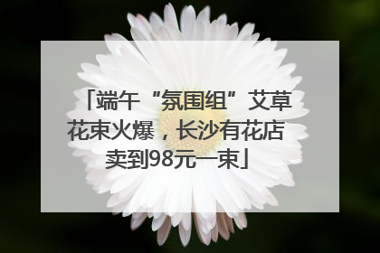 端午“氛围组”艾草花束火爆，长沙有花店卖到98元一束