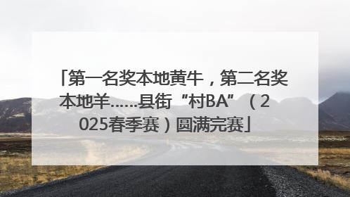 第一名奖本地黄牛，第二名奖本地羊……县街“村BA”（2025春季赛）圆满完赛