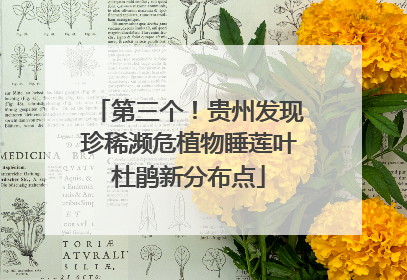 第三个！贵州发现珍稀濒危植物睡莲叶杜鹃新分布点