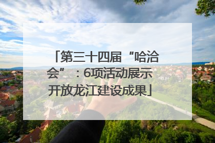 第三十四届“哈洽会”：6项活动展示开放龙江建设成果