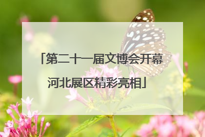 第二十一届文博会开幕 河北展区精彩亮相