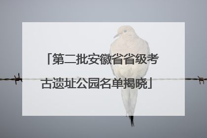 第二批安徽省省级考古遗址公园名单揭晓