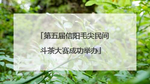 第五届信阳毛尖民间斗茶大赛成功举办