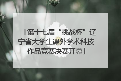 第十七届“挑战杯”辽宁省大学生课外学术科技作品竞赛决赛开幕