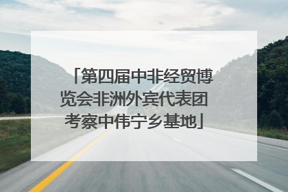 第四届中非经贸博览会非洲外宾代表团考察中伟宁乡基地