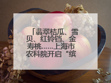翡翠桔瓜、雪贝、红铃铛、金寿桃……上海市农科院开启“缤纷蔬菜之约”