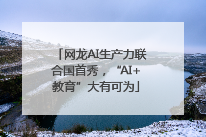 网龙AI生产力联合国首秀，“AI+教育”大有可为